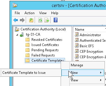 Make Certificate Template Issue-able
